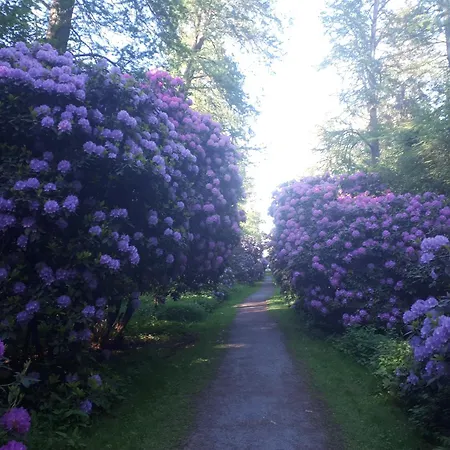 Meerliebe In Apartament *